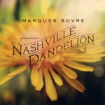 2012 Nashville Dandelion